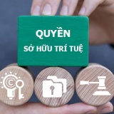 Tăng cường chế tài xử lý các hành vi xâm phạm quyền, vi phạm pháp luật về sở hữu trí tuệ