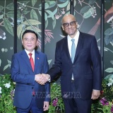 Việt Nam - Singapore thúc đẩy hợp tác AI, bán dẫn, tài chính xanh