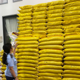Cà Mau: Xử phạt 16 triệu đồng, tịch thu hơn 1.200kg gạo không rõ nguồn gốc