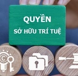 Thực thi quyền sở hữu trí tuệ: Tăng xử lý hình sự, siết vi phạm trên môi trường số