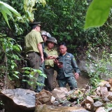 Tăng cường giám sát rừng bằng công nghệ số