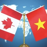 Việt Nam - Canada mở rộng dư địa hợp tác công nghiệp, hướng tới liên kết chuỗi giá trị