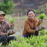 Khoa học công nghệ tạo động lực mới cho xuất khẩu nông sản