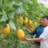 Hà Tĩnh tuyển chọn 7 nhiệm vụ khoa học, công nghệ và đổi mới sáng tạo năm 2026