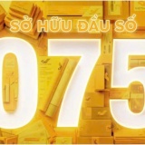Tổng công ty Bưu điện Việt Nam trúng đấu giá đầu số 075