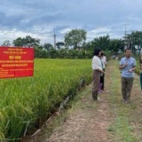 Thúc đẩy xây dựng nông thôn mới gắn với ứng dụng kỹ thuật công nghệ