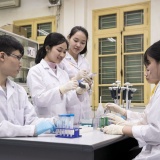 Nhóm nghiên cứu mạnh tại đại học sẽ được đánh giá theo tiêu chí nào?