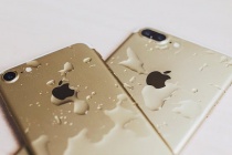 iPhone 7 chưa được bán chính thức tại Việt Nam trong tháng 10