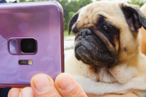 Samsung hợp tác cùng BuzzFeed và The Dodo