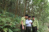 Gác rừng thời đại 4.0