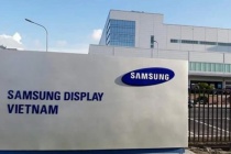 Bệnh nhân 262 làm ở Samsung tiếp xúc 40 người/ngày trên xe đưa đón