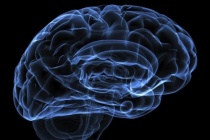 Phát hiện thiết bị bộ nhớ điện tử giống như não người