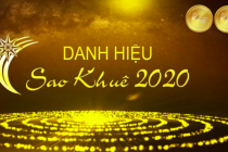 Top 10 danh hiệu Sao Khuê 2020