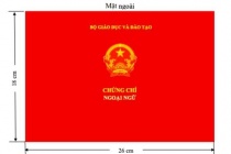 Sẽ không yêu cầu chứng chỉ tin học, ngoại ngữ cho viên chức, công chức