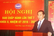 Phó Bí thư trường trực Tỉnh ủy Vĩnh Phúc Phạm Hoàng Anh được bầu là Chủ tịch Liên hiệp hữu nghị tỉnh