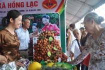 Đưa vải thiều Hải Dương lên 4 sàn thương mại điện tử lớn
