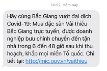 Các nhà mạng gửi tin nhắn kêu gọi người dân mua online vải thiều Bắc Giang