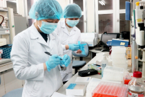 Bộ Y tế yêu cầu TP. HCM kiểm tra việc nghiên cứu TPCN Kovir điều trị COVID-19