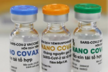 Ấn Độ thử nghiệm khả năng sinh miễn dịch của vaccine Nanocovax