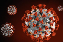 Lập bản đồ đột biến của virus SARS-CoV-2 để vạch trần điểm yếu và cách lợi dụng chúng