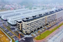 Bất chấp COVID-19, IDJ Việt Nam duy trì mạch tăng trưởng, tiếp tục lãi đậm tháng 8