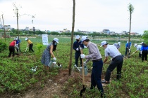 Chương trình “Toyota chung tay xanh hóa học đường” năm 2021 chính thức khởi động