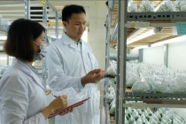 Ứng dụng năng lượng nguyên tử tại Việt Nam - Bài 1: Dấu ấn trên nhiều lĩnh vực