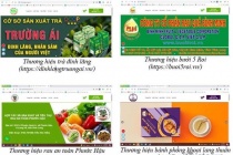 Tên miền .VN phát triển thương mại điện tử cho nông sản Vĩnh Long