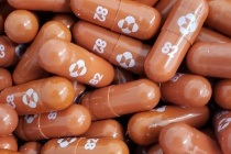 Anh phê duyệt thuốc điều trị Covid-19 của Merck
