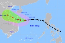 Việt Nam xây dựng mô hình dự báo bão sớm 3 ngày