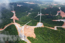 COP26: Việt Nam hiện thực hóa cam kết Net Zero vào năm 2050​