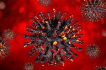 Biến thể Omicron có thể đã lai với virus cảm lạnh