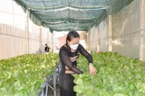 Thanh Hóa: Đẩy mạnh nghiên cứu, ứng dụng khoa học công nghệ vào sản xuất
