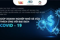Giúp doanh nghiệp nhỏ và vừa thích ứng với đại dịch Covid - 19