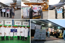 Đẩy mạnh hợp tác để xây dựng ngành ngoại giao chuyên nghiệp, toàn diện, hiện đại