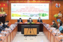 Hiệu quả sản xuất tăng đến 20% nhờ canh tác nông nghiệp thông minh