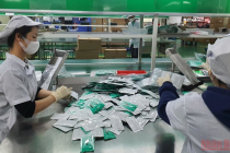 Cấp phép sử dụng khẩn cấp test nhanh kháng nguyên SARS-CoV-2 bằng dịch mũi “made in Vietnam”