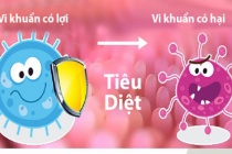 Công nghệ vi sinh vật ứng dụng trong nuôi trồng thuỷ sản