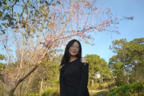 Nữ sinh Cần Thơ ứng dụng trí tuệ nhân tạo quản lý nồng độ cồn tài xế ô tô