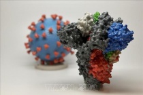 Vật liệu in 3D đầu tiên trên thế giới có thể tiêu diệt virus SARS-CoV-2 trên bề mặt