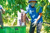 Tiki cam kết xây dựng nền kinh tế số Việt Nam bằng công nghệ “Make In Vietnam”