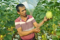 Khởi xướng nông nghiệp công nghệ cao vùng đất khó xứ Thanh