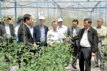 Lâm Ðồng đẩy mạnh số hóa nông nghiệp