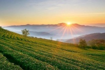 Đà Lạt sắp có khu đô thị sinh thái thông minh gần 1.000 ha
