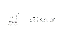 Sony đầu tư 1 tỉ USD vào Epic Games về lĩnh vực metaverse