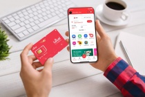 Local nhận giấy phép thiết lập mạng viễn thông công cộng