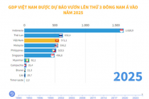 GDP Việt Nam được dự báo đứng thứ 3 Đông Nam Á năm 2025