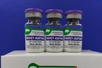 Vaccine dịch tả lợn châu Phi sẽ được sử dụng diện rộng cuối năm 2022