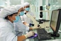 Đảm bảo thống nhất, đồng bộ quy định kéo dài thời gian công tác với viên chức
