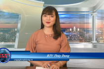 Bản tin chuyển đổi số tháng 8/2022